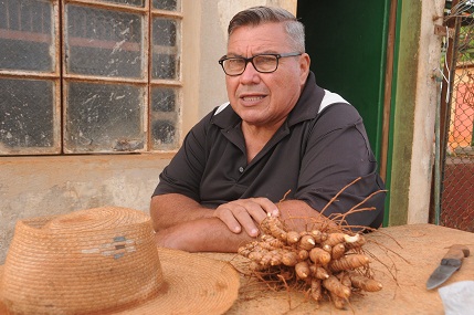 El principal reto para Orlando Chirino y sus hijos, a quienes él mismo nombra como esencia y alma de la producción de cúrcuma, radica en sustituir importaciones