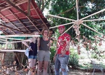Entre orquídeas y colibríes