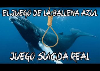 Internet y las peligrosas ballenas