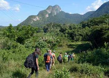 ascenso-pan-guajaibon
