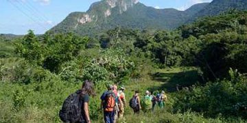 ascenso-pan-guajaibon