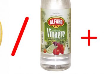 Limpieza del hogar, plagas y más