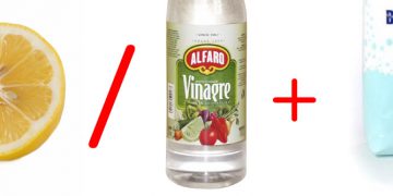 Limpieza del hogar, plagas y más