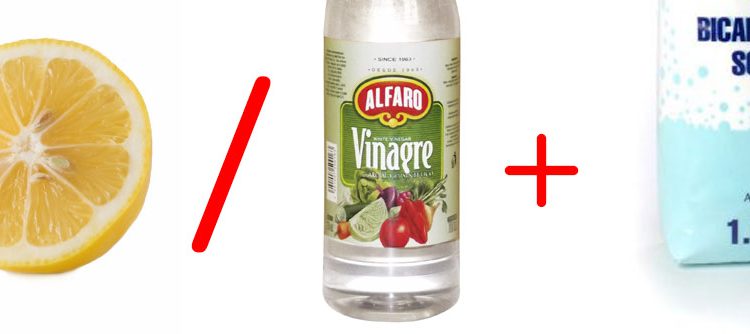 Limpieza del hogar, plagas y más