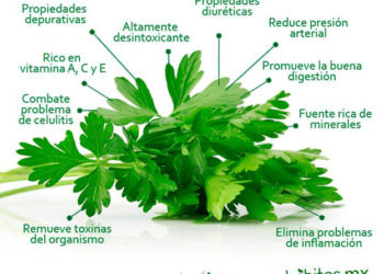 beneficios del perejil