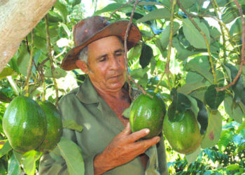 Podemos autoabastecernos, pero ¡hay que trabajar!