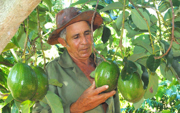 Podemos autoabastecernos, pero ¡hay que trabajar!