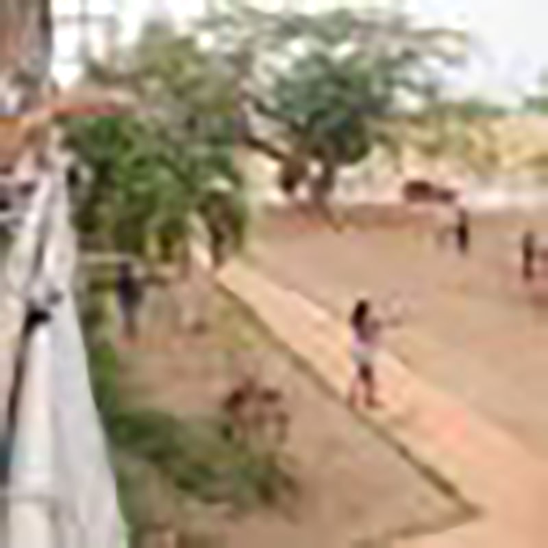 Frente a la COVID – 19: quemar grasa y estrés