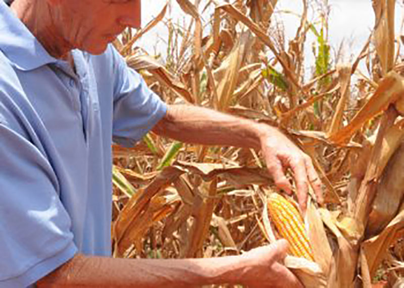 Abelardo Álvarez, presidente CCS Antero Regalado Güira de Melena