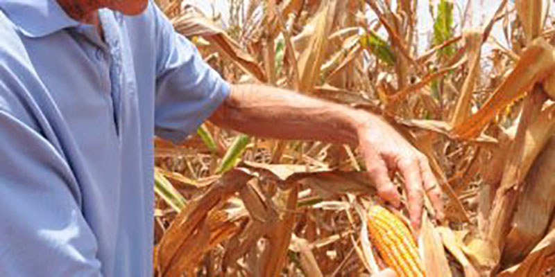 Abelardo Álvarez, presidente CCS Antero Regalado Güira de Melena