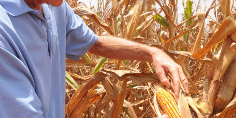 Abelardo Álvarez, presidente CCS Antero Regalado Güira de Melena