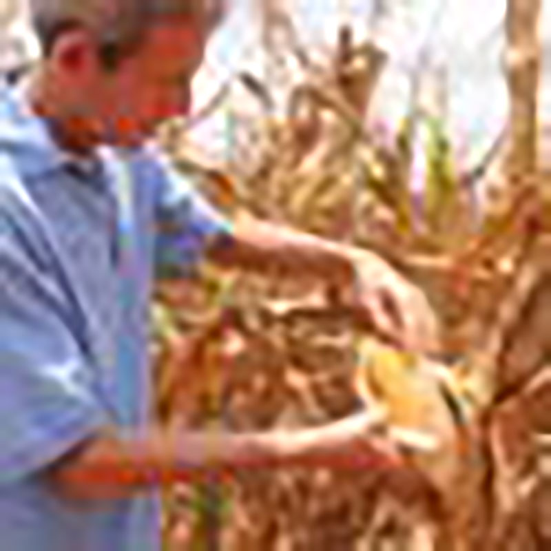 Abelardo Álvarez, presidente CCS Antero Regalado Güira de Melena