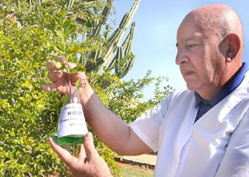 Hugo Marcelino Oliva Díaz, científico güireño