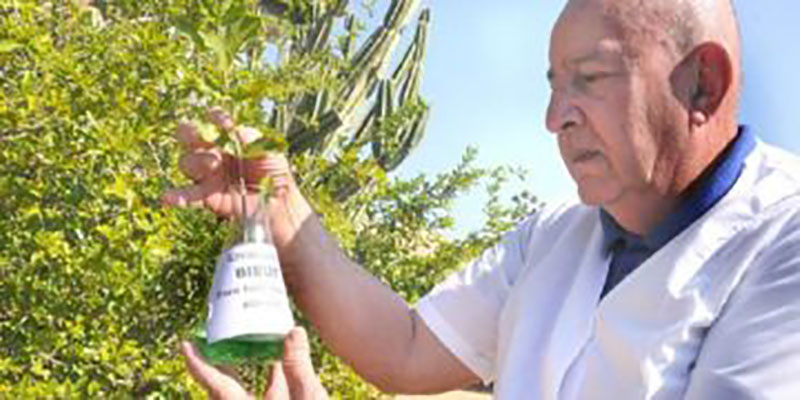 Hugo Marcelino Oliva Díaz, científico güireño