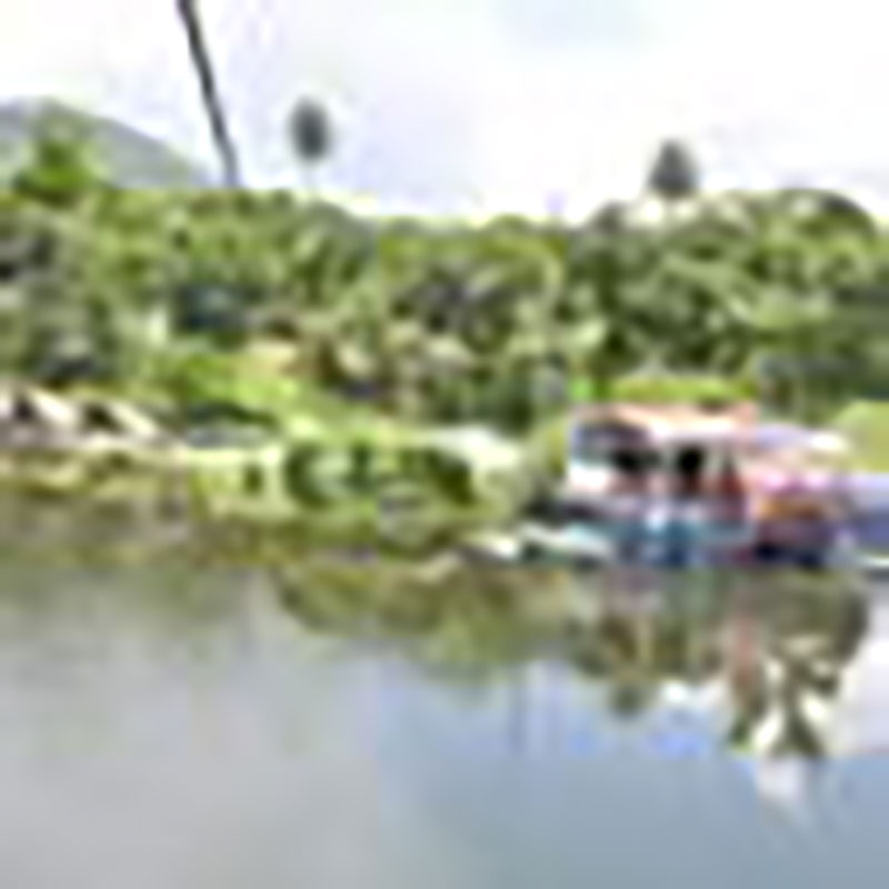 Comunidad Las Terrazas