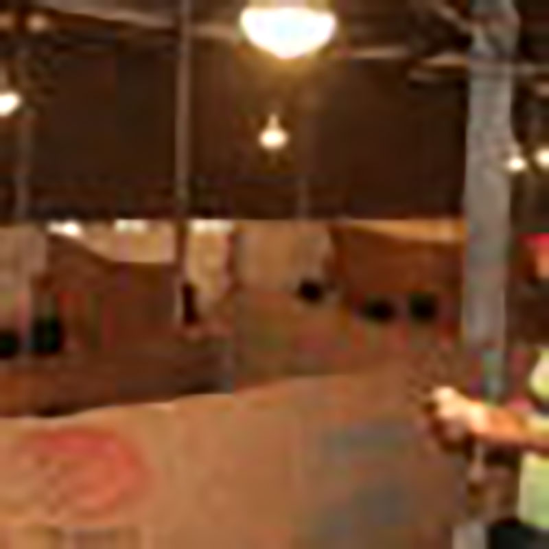 En la cooperativa de producción agropecuaria CPA , del municipio Alquízar Amistad Cuba MÉéxico, finalizan su tercera cría de pollos de ceba