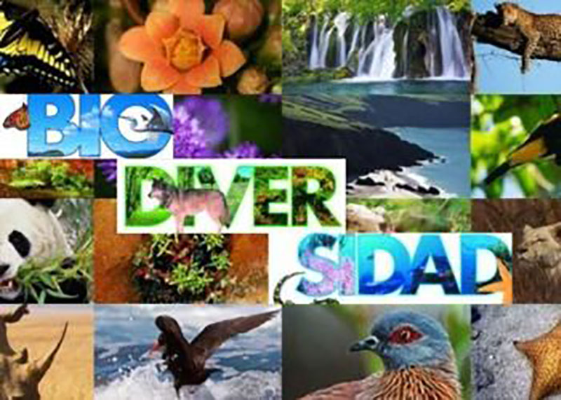 Día mundial de la biodiversidad