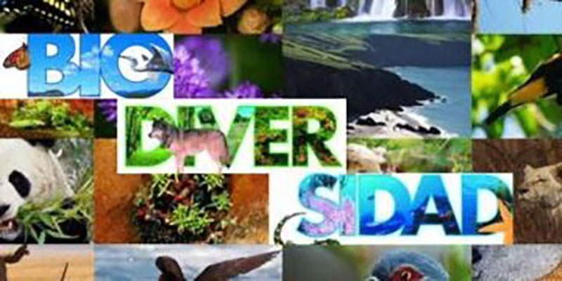 Día mundial de la biodiversidad