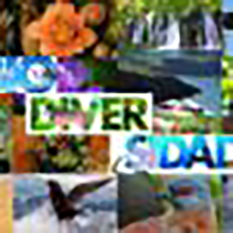 Día mundial de la biodiversidad