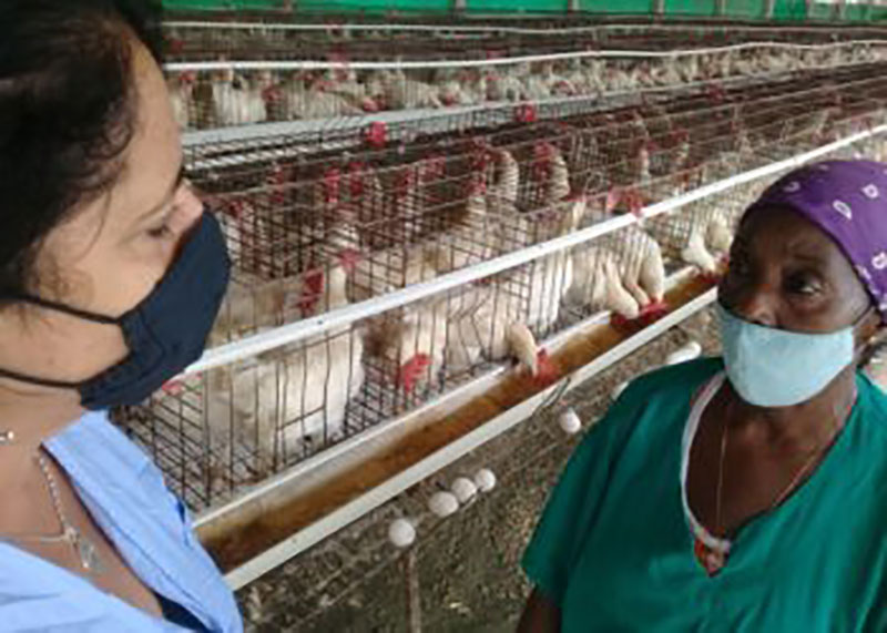 María Consuelo Baeza Martín, integrante del Secretariado de la Central de Trabajadores de Cuba, en la Unidad Empresarial de Base Avícola José Antonio Labrador, en Artemisa
