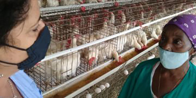 María Consuelo Baeza Martín, integrante del Secretariado de la Central de Trabajadores de Cuba, en la Unidad Empresarial de Base Avícola José Antonio Labrador, en Artemisa