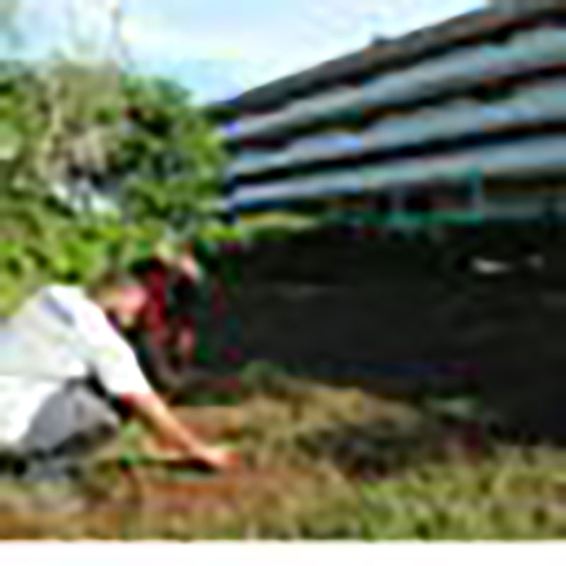 El ajetreo constructivo y de limpieza se mantendrá todo el verano, para estar listos antes de septiembre.