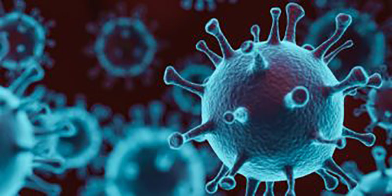 Covid-19 en Artemisa