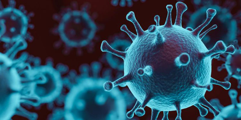 Covid-19 en Artemisa