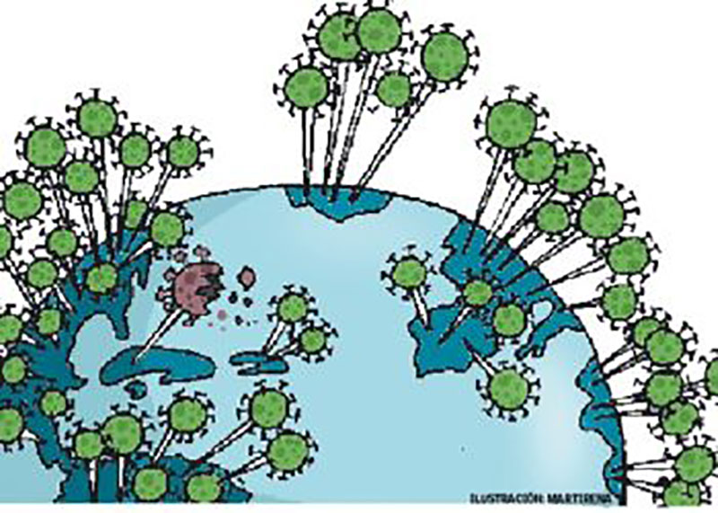 Geografía de la COVID-19