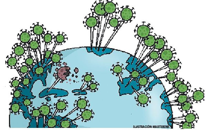 Geografía de la COVID-19