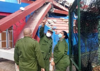 Artemisa después de Laura