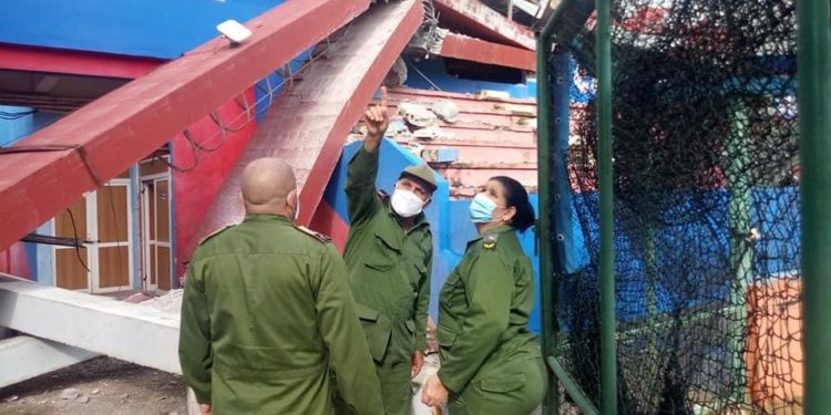 Artemisa después de Laura