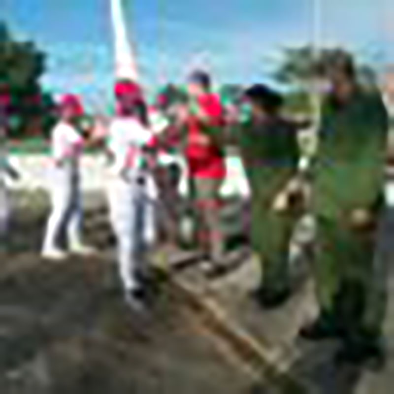 Cazadores Guerreros de Artemisa