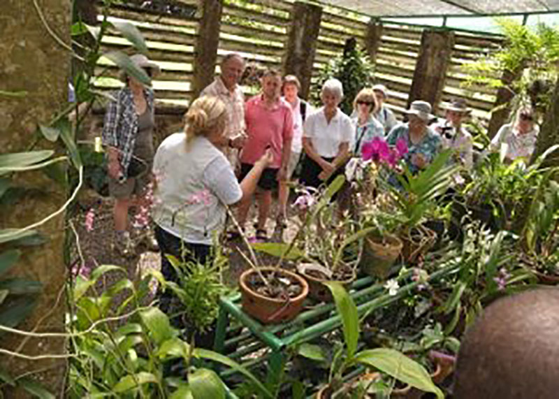 Orquideario de Soroa / Foto: Otoniel Márquez