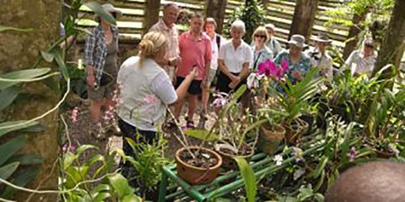 Orquideario de Soroa / Foto: Otoniel Márquez