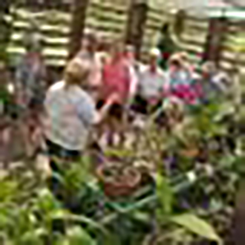 Orquideario de Soroa / Foto: Otoniel Márquez