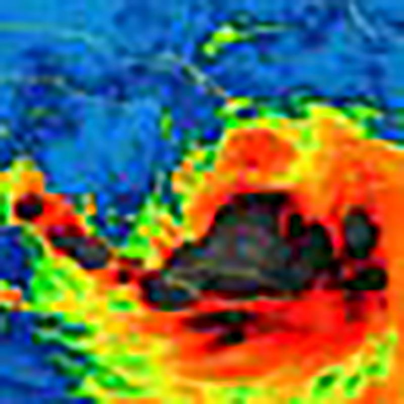 Artemisa está en Fase de Alerta (+Podcast)