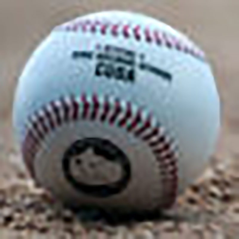 Cazadores de Artemisa