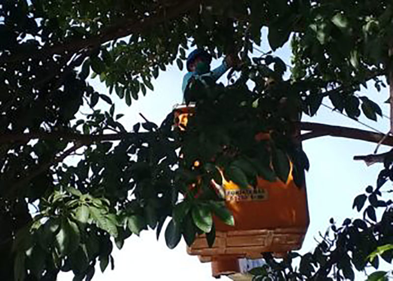 Desde bien temprano se realizan acciones para minimizar los efectos de Laura