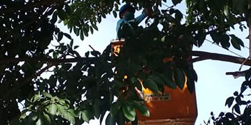 Desde bien temprano se realizan acciones para minimizar los efectos de Laura