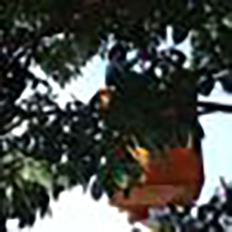 Desde bien temprano se realizan acciones para minimizar los efectos de Laura