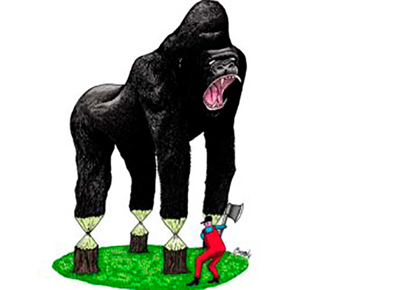 La obra Tala del gorila es finalista en el V Concurso Internacional de Dibujos Animados de Animales Serbia 2020