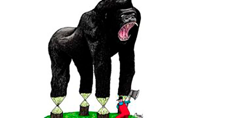 La obra Tala del gorila es finalista en el V Concurso Internacional de Dibujos Animados de Animales Serbia 2020