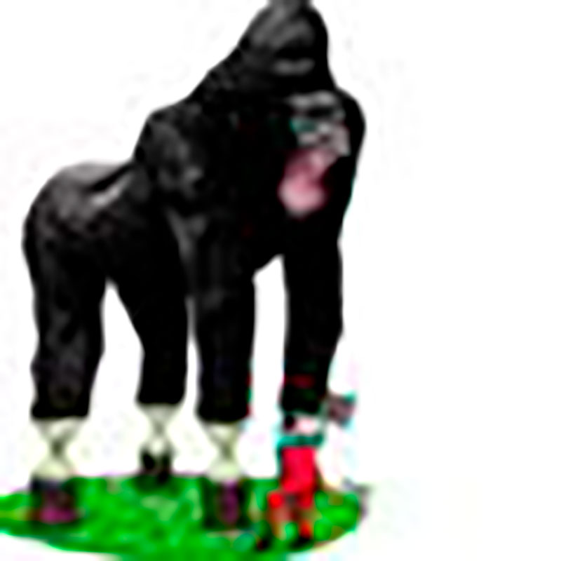 La obra Tala del gorila es finalista en el V Concurso Internacional de Dibujos Animados de Animales Serbia 2020