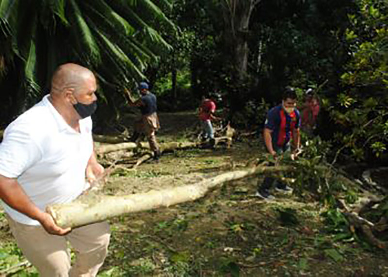La Tormena Tropical Laura deó algunas afectaciones en el Orquideario de Soroa / Fotos: Humberto Lister