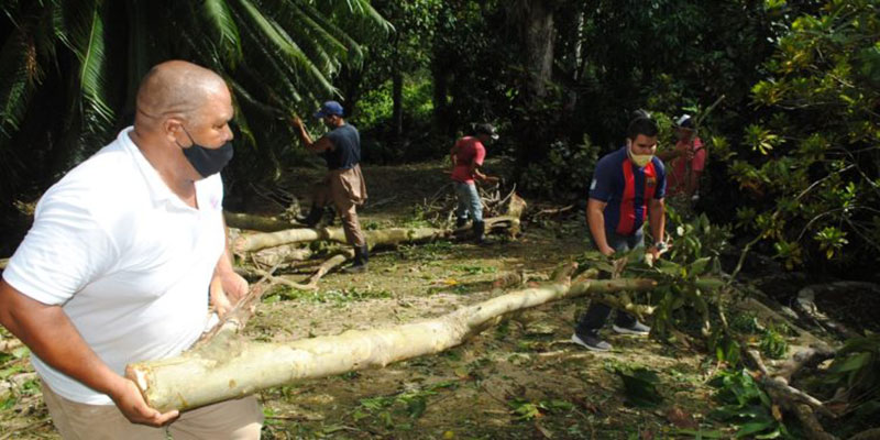 La Tormena Tropical Laura deó algunas afectaciones en el Orquideario de Soroa / Fotos: Humberto Lister