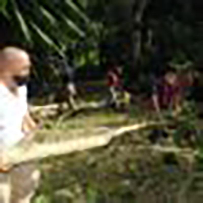 La Tormena Tropical Laura deó algunas afectaciones en el Orquideario de Soroa / Fotos: Humberto Lister