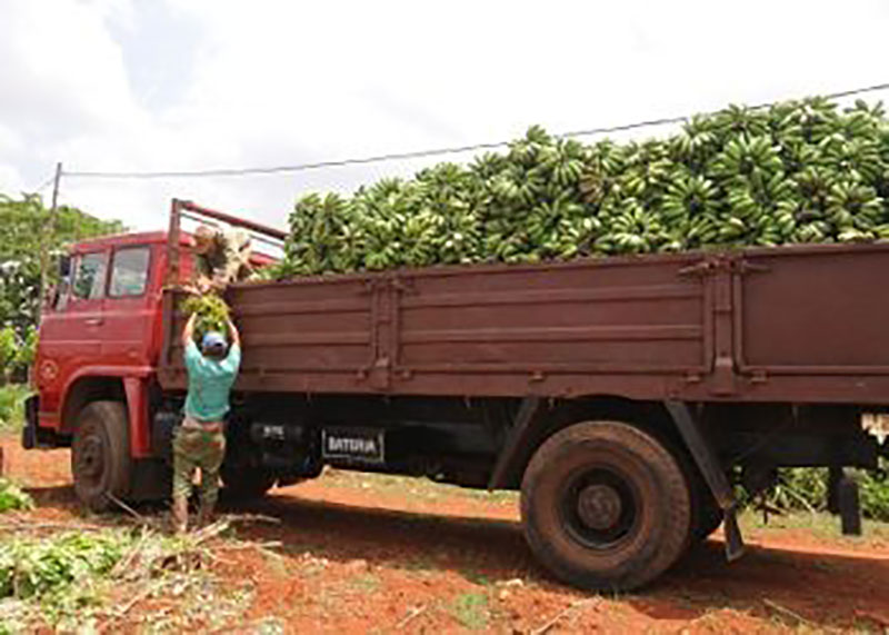 Producir alimentos suficientes para autoabastecernos es tarea de primer orden para nuestros agricultores