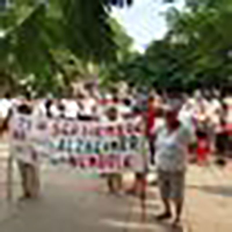 Cada 21 de septiembre, Día Mundial del Alzheimer, es tradición en San Antonio de los Baños una marcha A favor de la memoria