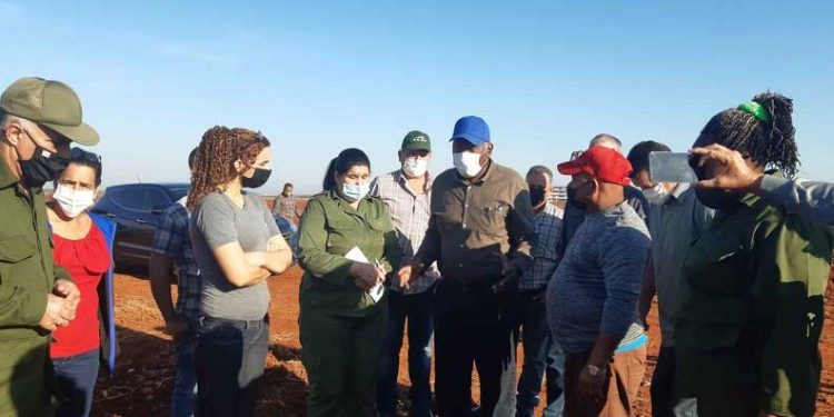 Realiza Salvador Valdés Mesa visita de trabajo a Artemisa (+Fotos)